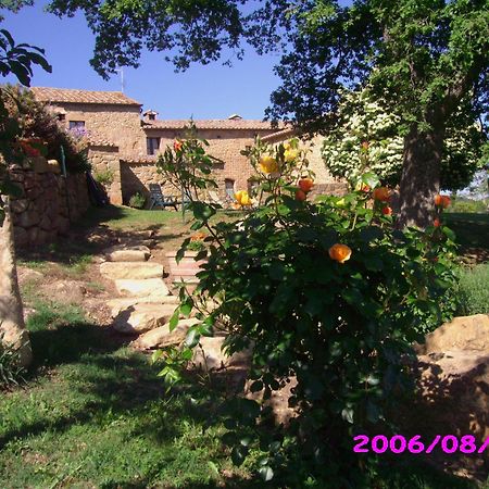 Villa Fonte All'Oppio Con Area Piscina Recintata Pienza Exterior photo
